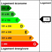 Diagnostic dpe